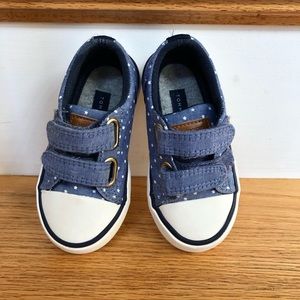 Tommy Hilfiger blue w/white stars toddler US 6